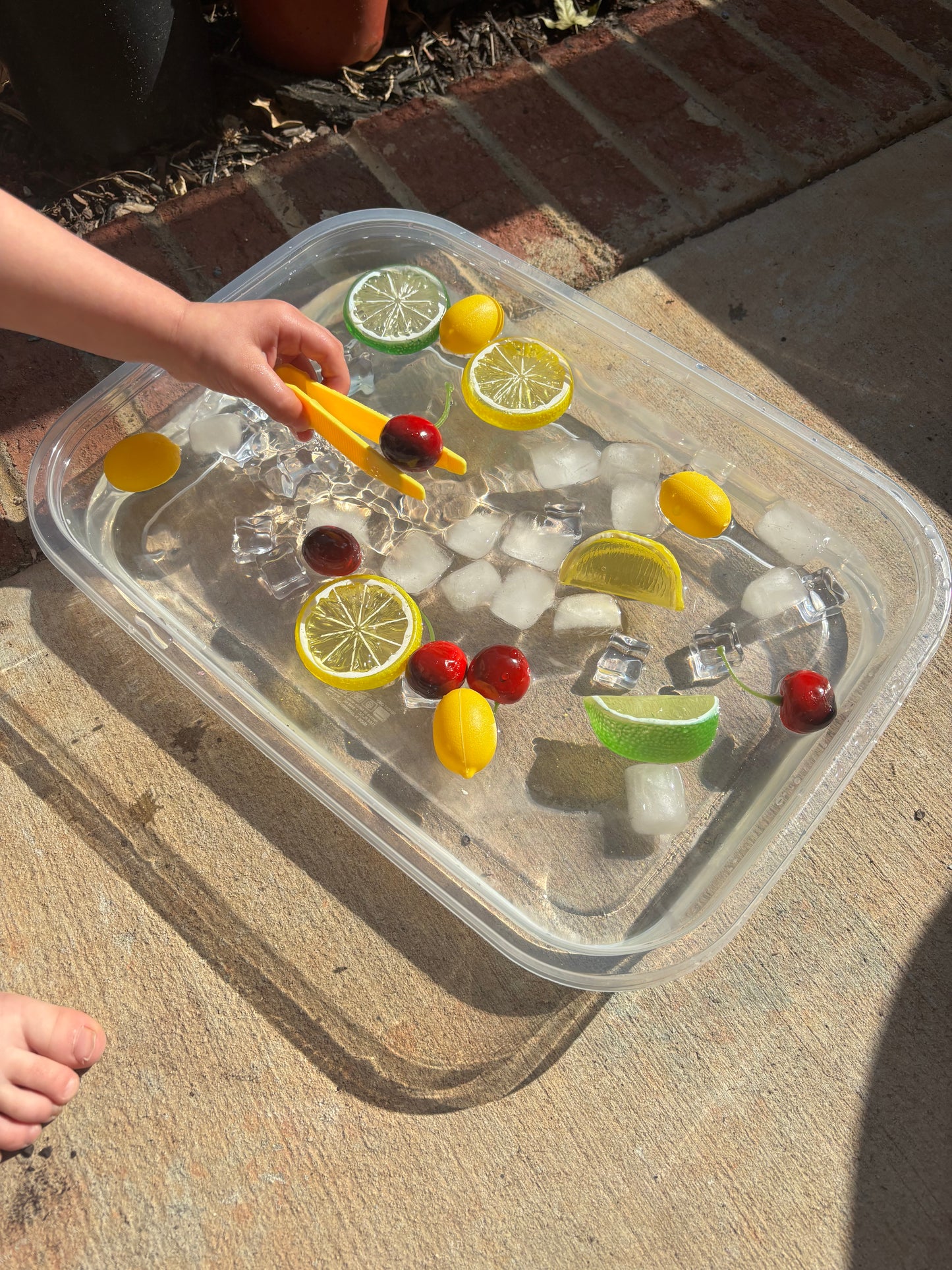 Citrus and Cherry Splash Kit